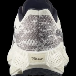 Aeroglide 4 Grvl Ice Black Iron - Chaussure | Salomon