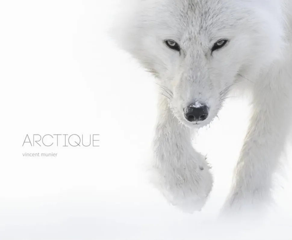 Arctique - Beaux Livres | Kobalann