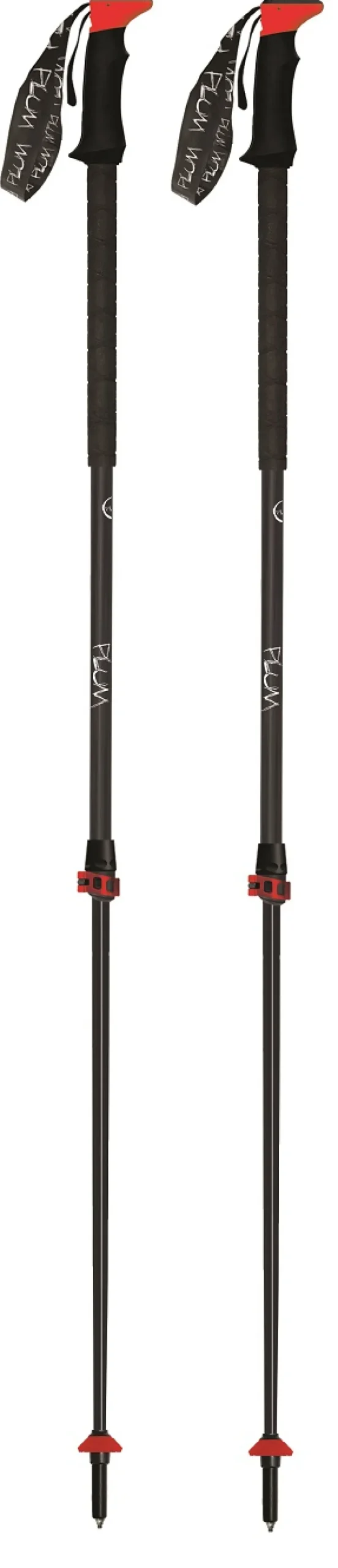 Batons Trail Tour Fl Carbon Ef - Batons | Plum