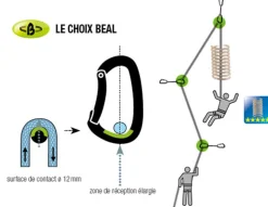 Be Indoor 15cm Lot De 20 - Degaine Pack | Beal