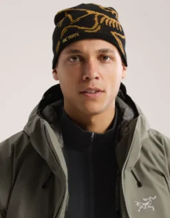 Bonnet Bird Head Toque Black Arcteryx