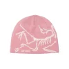 Bonnet Bird Head Toque Bliss Arctic Silk Arcteryx
