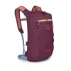 Daylite Cinch 15 Moody Burgundy