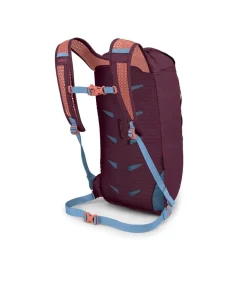 Daylite Cinch 15 Moody Burgundy