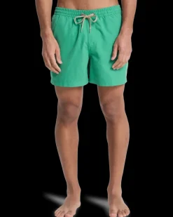 Everiday Volley 15 Leprechaun - Short | Quiksilver