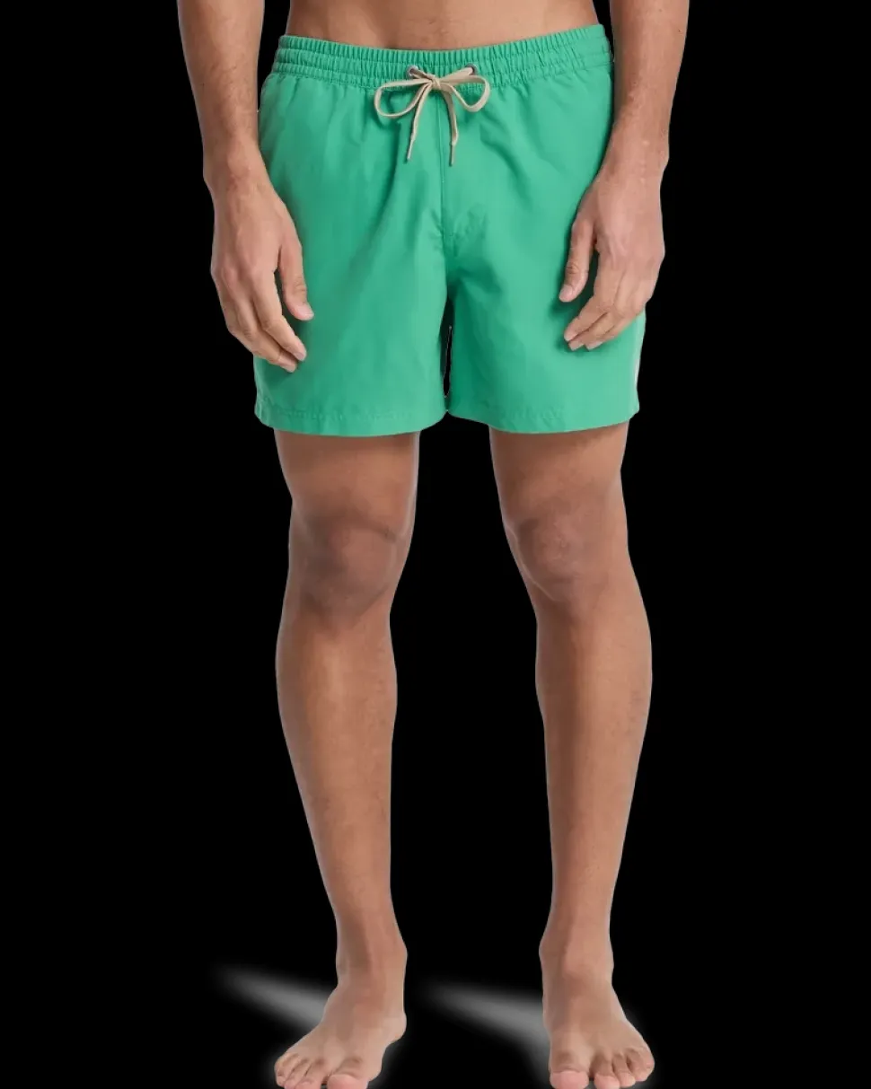 Everiday Volley 15 Leprechaun - Short | Quiksilver