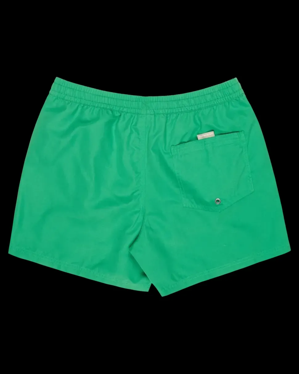 Everiday Volley 15 Leprechaun - Short | Quiksilver