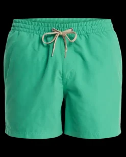 Everiday Volley 15 Leprechaun - Short | Quiksilver