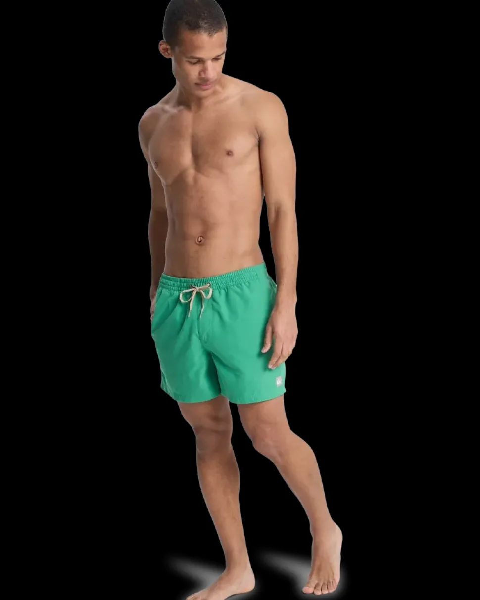 Everiday Volley 15 Leprechaun - Short | Quiksilver