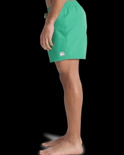 Everiday Volley 15 Leprechaun - Short | Quiksilver