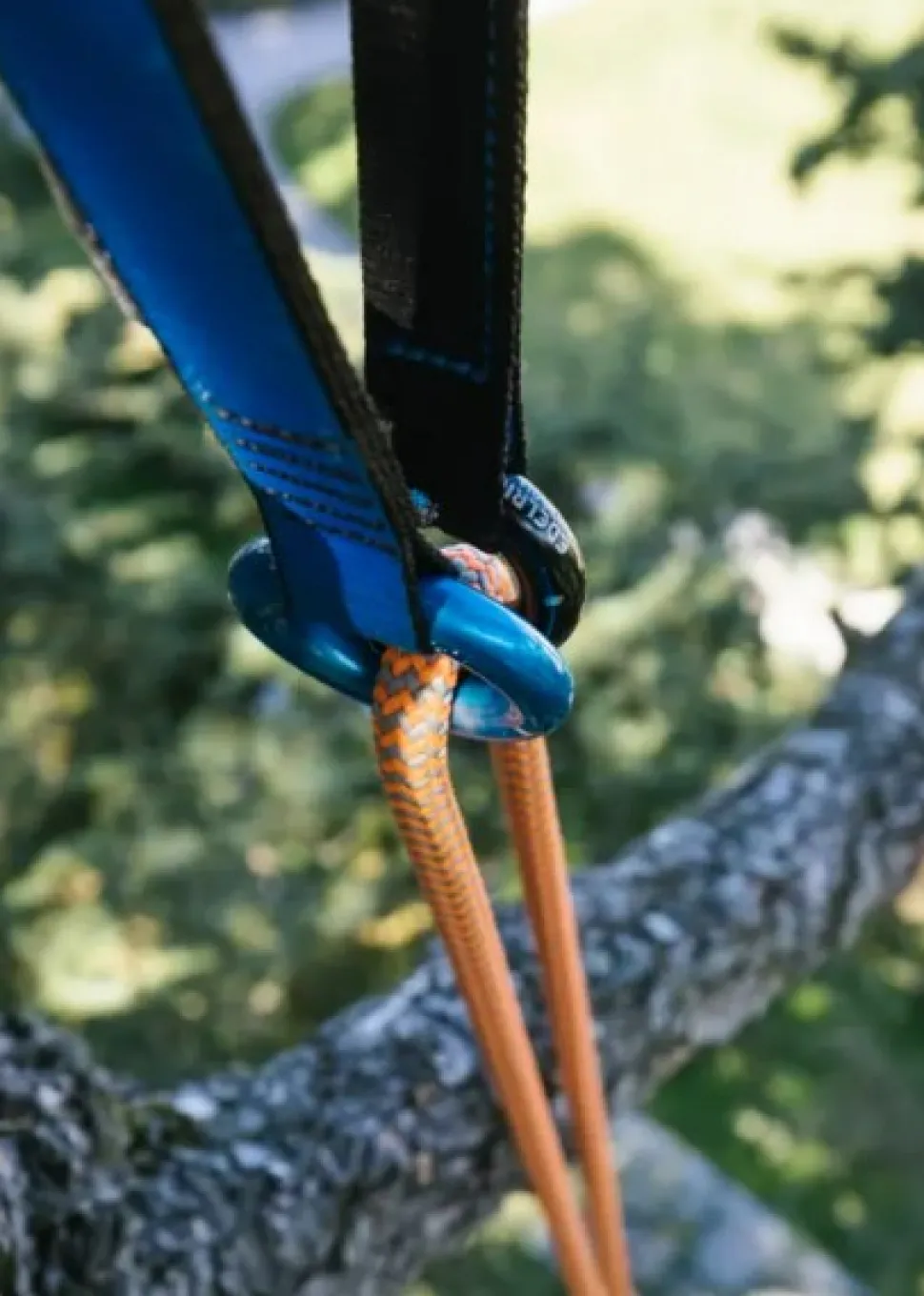 Fausse Fourche Cambiumsaver 120 1-8955 - Equipement Pro | Edelrid