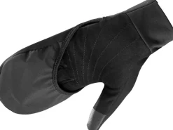 Gants Fast Wing Winter Black - Gants | Salomon