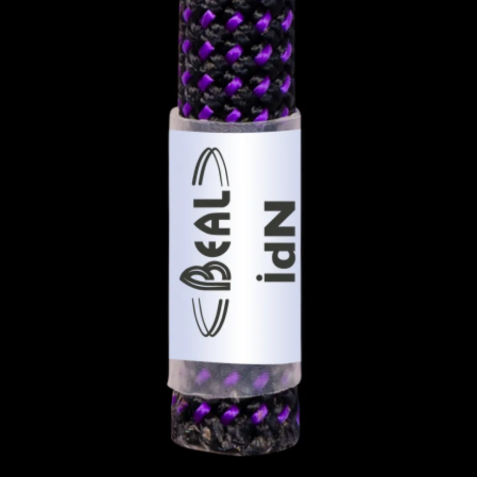 Joker 9.1mmx80m Purple - Corde | Beal