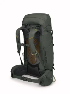 Kestrel 38 Bonsai Green - Sac A Dos | Osprey