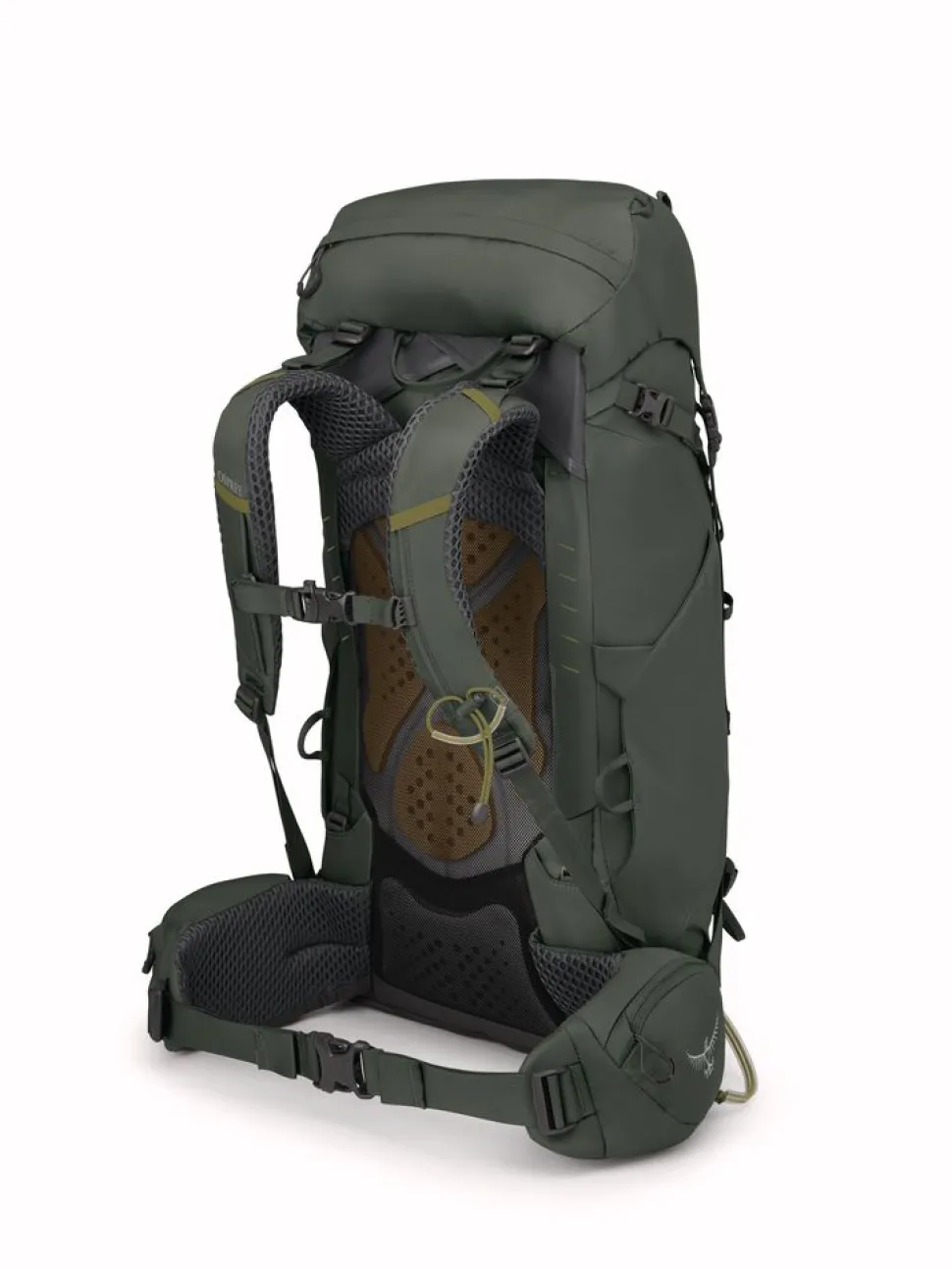 Kestrel 38 Bonsai Green - Sac A Dos | Osprey