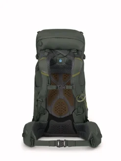 Kestrel 38 Bonsai Green - Sac A Dos | Osprey