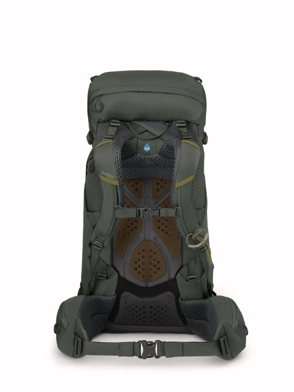 Kestrel 38 Bonsai Green - Sac A Dos | Osprey