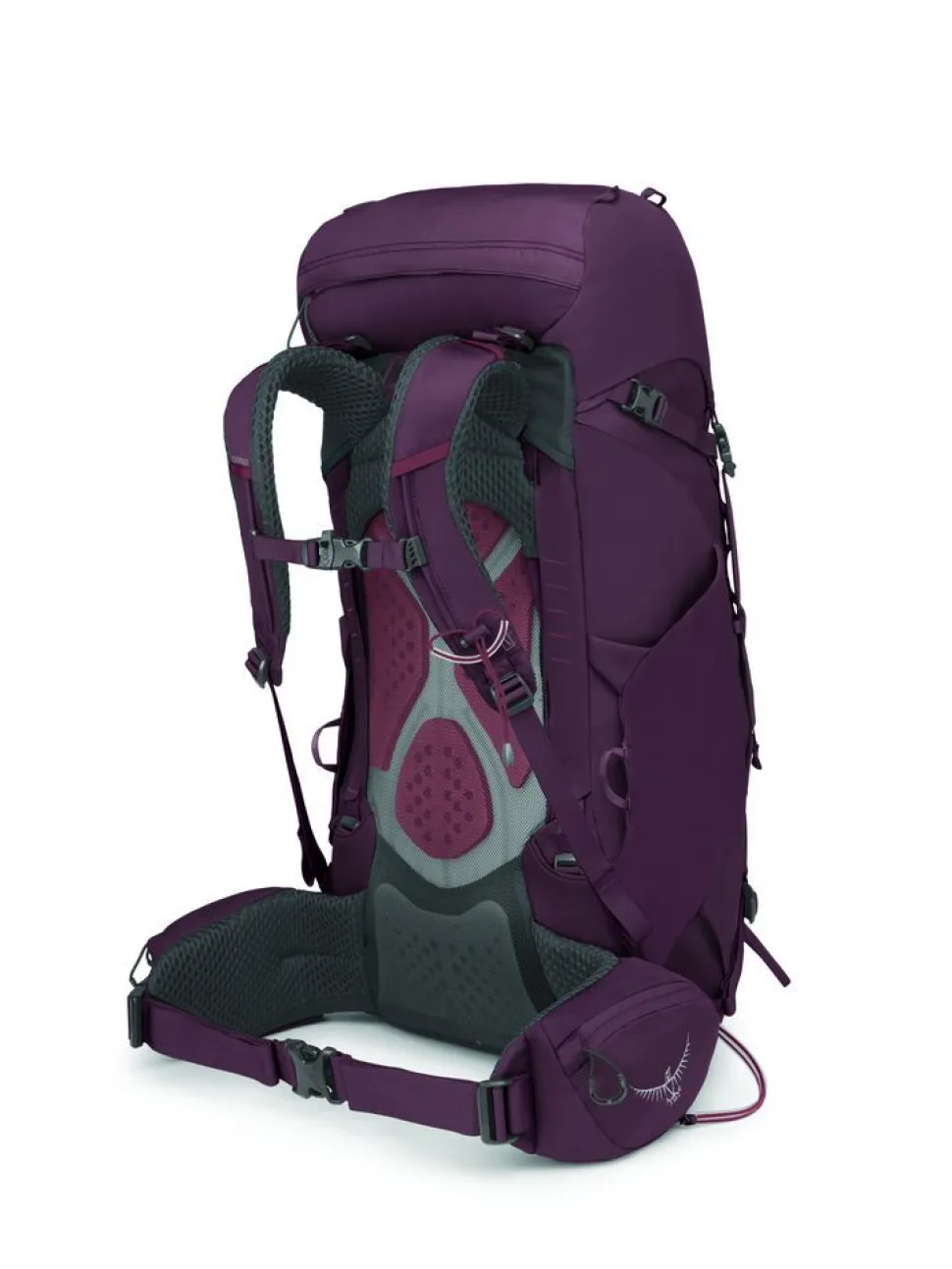 Kyte 38 Femme Elderberry Purple - Sac A Dos | Osprey
