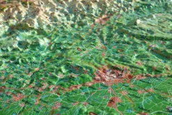 Le Gard - Cartes | 3dmap