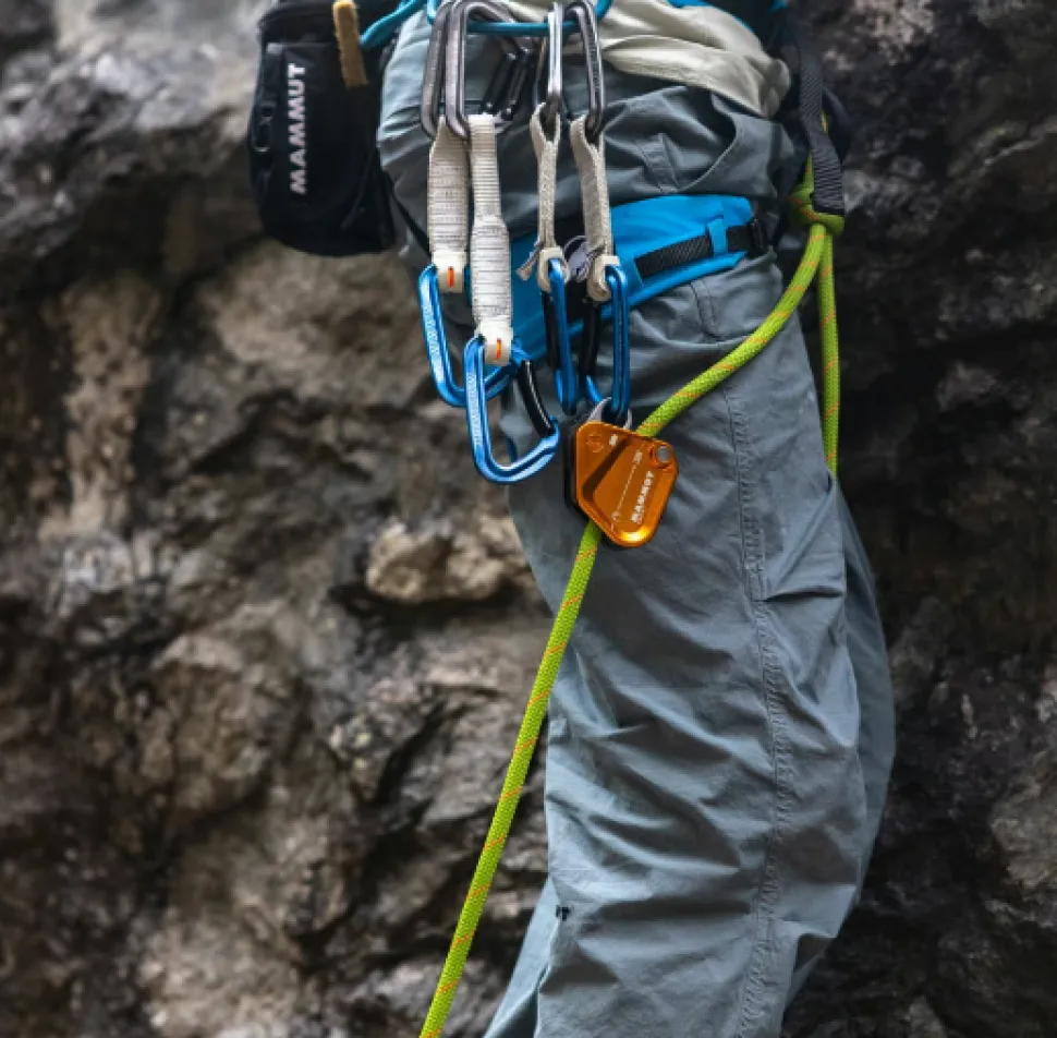 Mammut Assist Belay Resistor - Degaines | Mammut