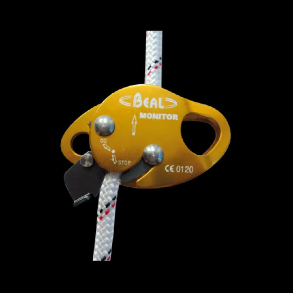 Monitor - Travaux En Hauteur | Beal Pro
