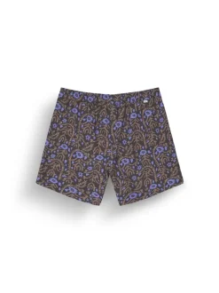 Piau 15 Printed Brds Ancolie Print - Short | Picture Organic Clothing