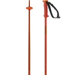 Polar Cherry Tomato - Batons | Salomon
