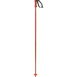 Polar Cherry Tomato - Batons | Salomon
