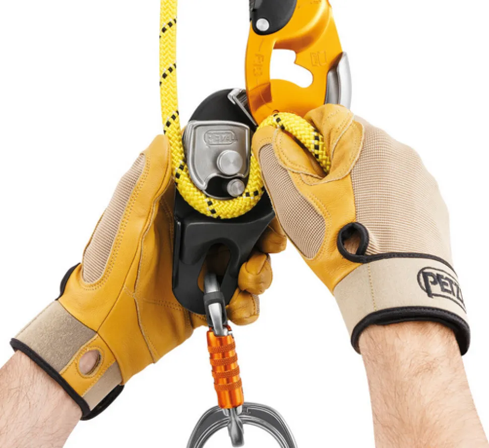 Rig - Descendeur | Petzl