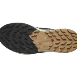 Sense Ride 5 Vanilla Spring Black - Chaussures | Salomon