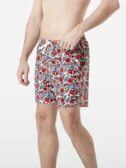 Short Piau 15 Aster Print - Short | Picture Organic Clothing