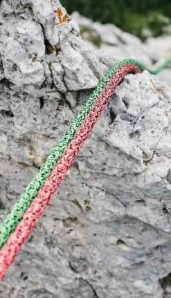 Swift Protect Pro Dry 8,9mm X 60m Rose - Corde | Edelrid
