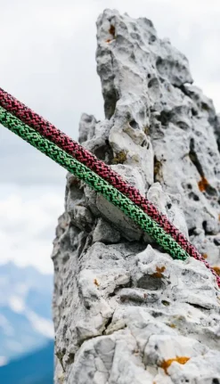 Swift Protect Pro Dry 8,9mm X 60m Rose - Corde | Edelrid