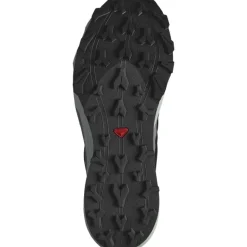 Thundercross Asphalt Spray - Chaussures | Salomon