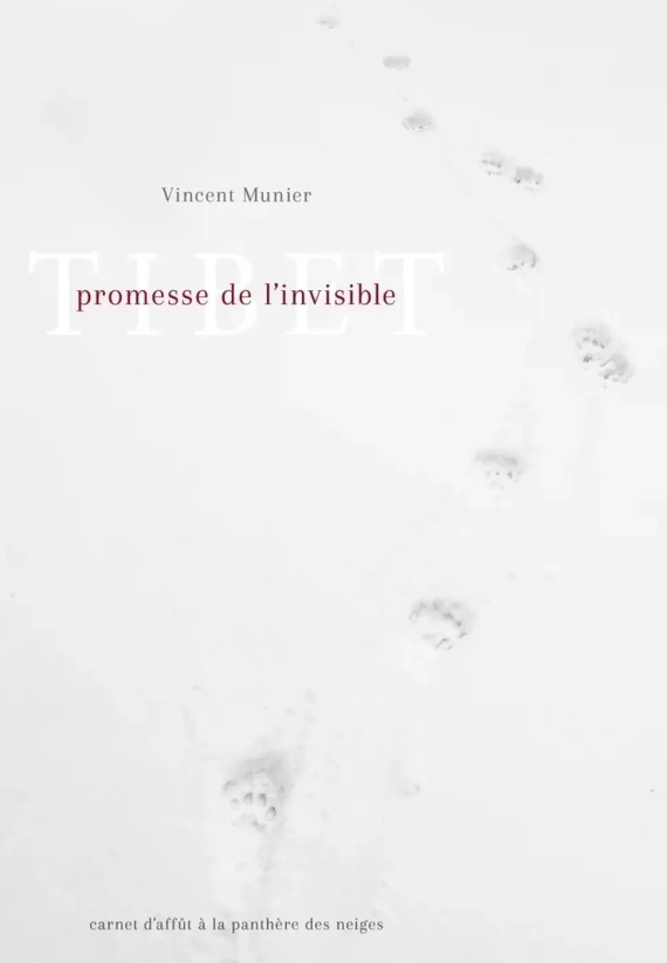 Tibet Promesse De L'invisible - Beaux Livres | Kobalann