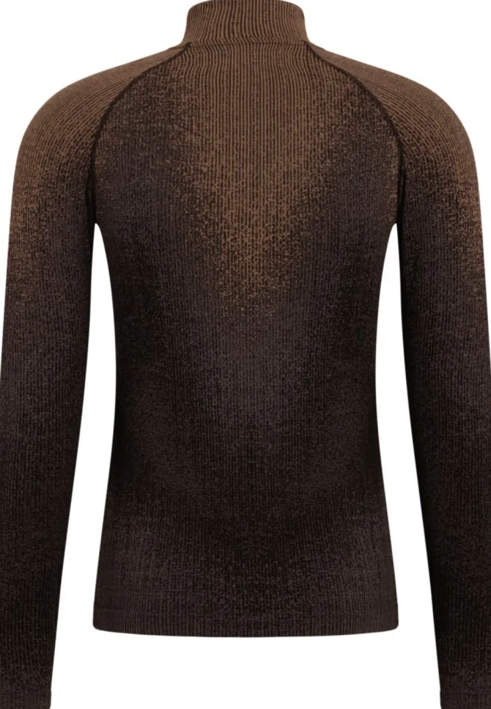T-shirt Turtle Neck Performance Warm Blackcomb Fudge | Odlo